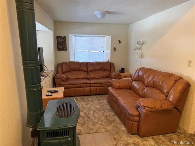 29885 County Road 46aa Villa Grove, CO 81155