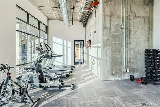 2374 S University Boulevard #303 Denver, CO 80210