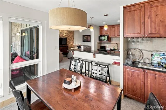 120 E La Bonte Street #306 Dillon, CO 80435