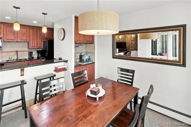 120 E La Bonte Street #306 Dillon, CO 80435