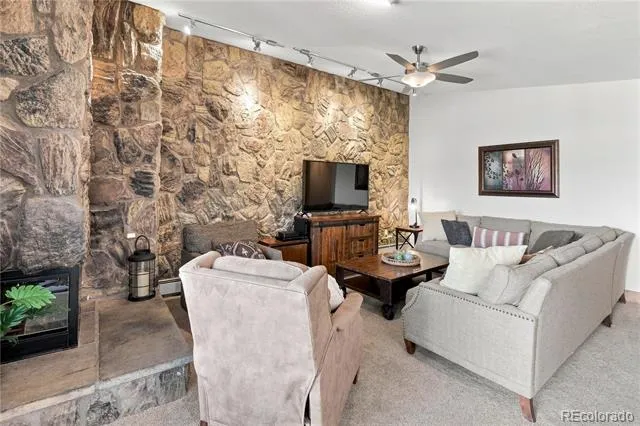 120 E La Bonte Street #306 Dillon, CO 80435