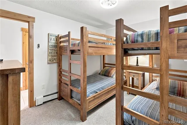 120 E La Bonte Street #306 Dillon, CO 80435