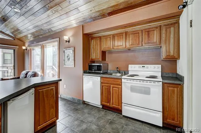 120 E La Bonte Street #306 Dillon, CO 80435