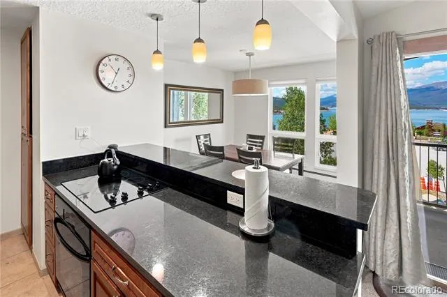 120 E La Bonte Street #306 Dillon, CO 80435