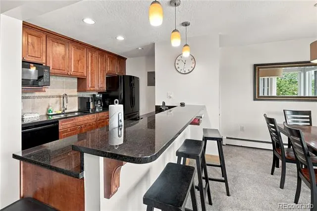 120 E La Bonte Street #306 Dillon, CO 80435