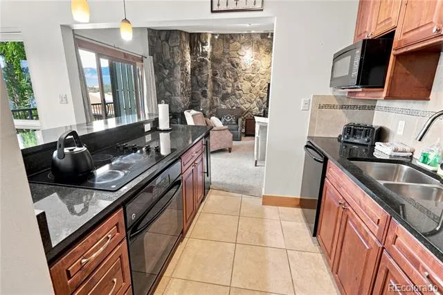 120 E La Bonte Street #306 Dillon, CO 80435