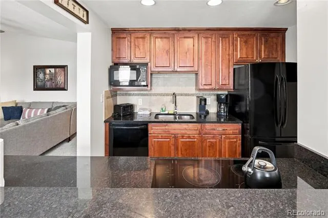 120 E La Bonte Street #306 Dillon, CO 80435