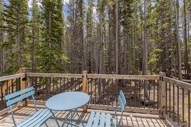 14 Deer Road Idaho Springs, CO 80452