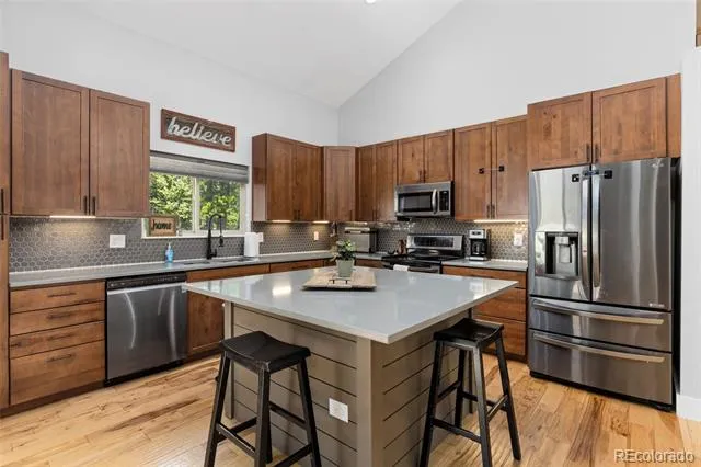 14 Deer Road Idaho Springs, CO 80452