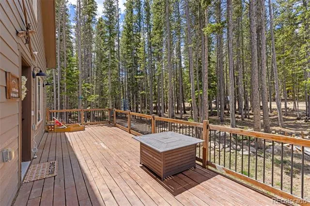 14 Deer Road Idaho Springs, CO 80452