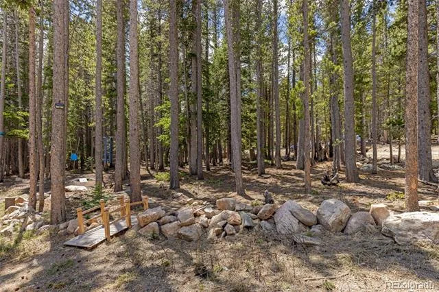 14 Deer Road Idaho Springs, CO 80452