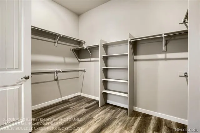 3108 Windward Way Fort Collins, CO 80524