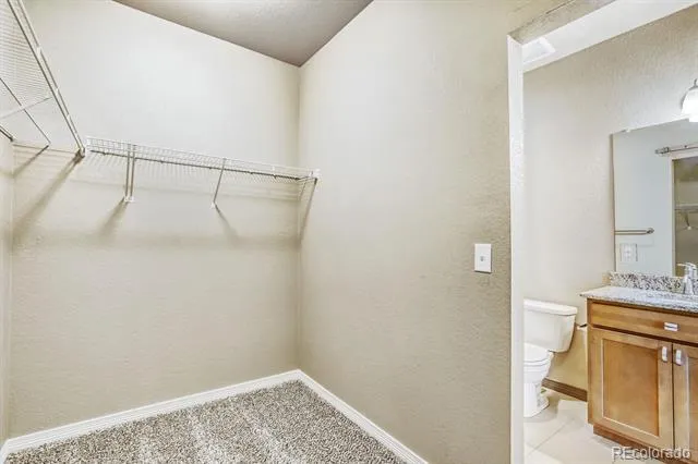 1686 Grand Avenue #6 Windsor, CO 80550