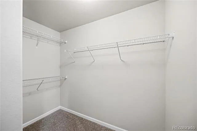 1062 Petra Heights Colorado Springs, CO 80916
