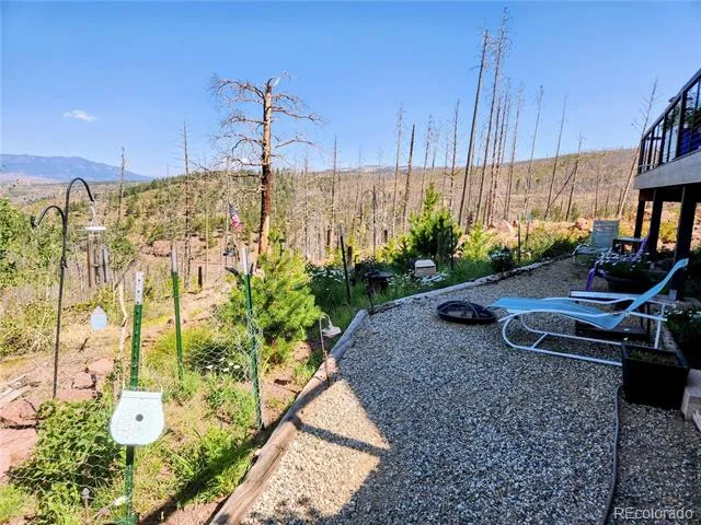 1180 1180 Bechtel Place Fort Garland, CO 81133