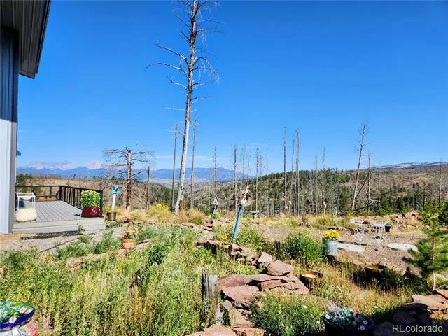 1180 1180 Bechtel Place Fort Garland, CO 81133