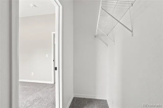 302 Apache Place Lochbuie, CO 80603