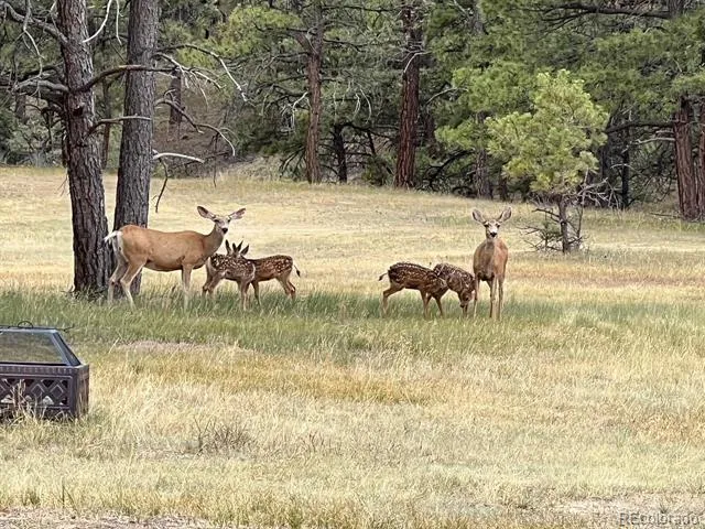 24124 Agate Trail Deer Trail, CO 80105