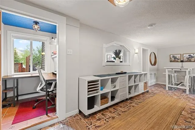 218 E 8th Street Leadville, CO 80461