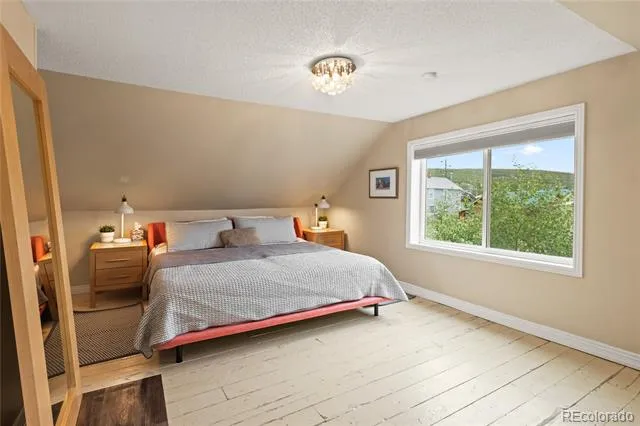 218 E 8th Street Leadville, CO 80461