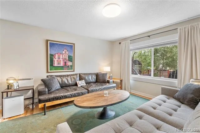 218 E 8th Street Leadville, CO 80461
