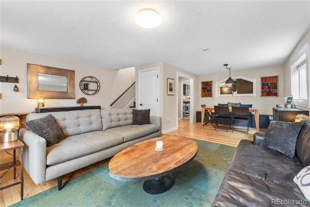 218 E 8th Street Leadville, CO 80461