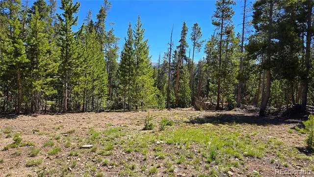 000 Summit Gulch Road Breckenridge, CO 80424