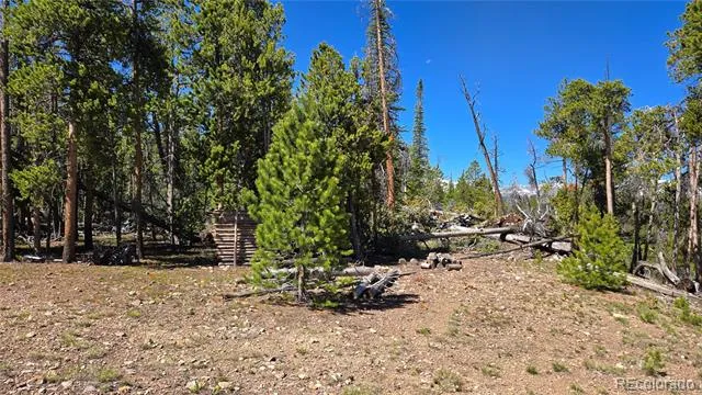 000 Summit Gulch Road Breckenridge, CO 80424