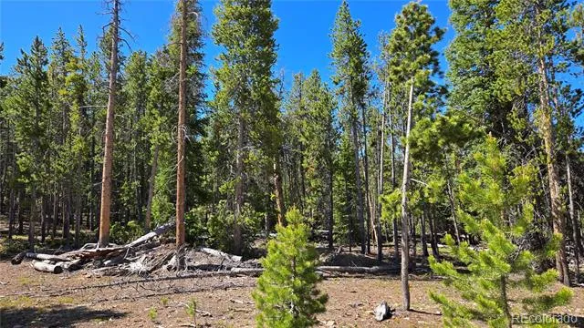 000 Summit Gulch Road Breckenridge, CO 80424