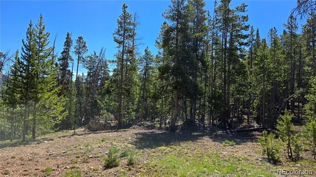 000 Summit Gulch Road Breckenridge, CO 80424