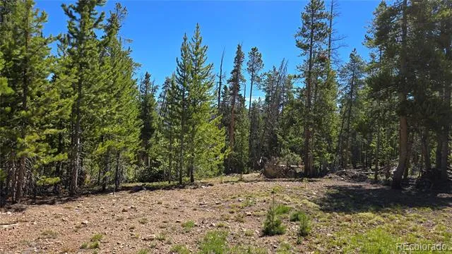 000 Summit Gulch Road Breckenridge, CO 80424