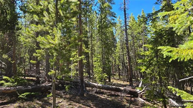 000 Summit Gulch Road Breckenridge, CO 80424