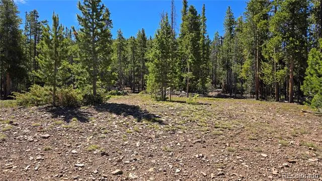 000 Summit Gulch Road Breckenridge, CO 80424