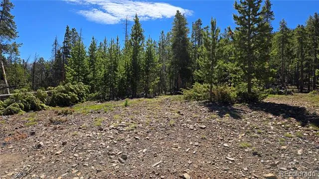 000 Summit Gulch Road Breckenridge, CO 80424