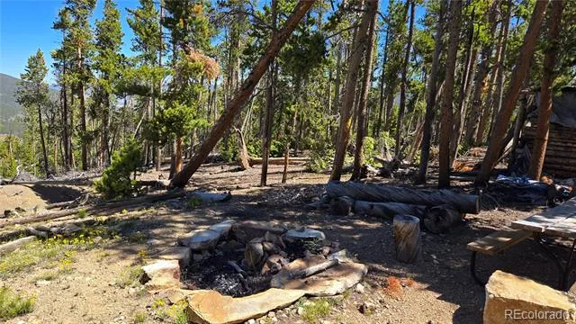 000 Summit Gulch Road Breckenridge, CO 80424