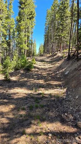 000 Summit Gulch Road Breckenridge, CO 80424