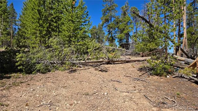 000 Summit Gulch Road Breckenridge, CO 80424