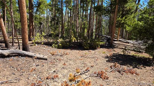 000 Summit Gulch Road Breckenridge, CO 80424