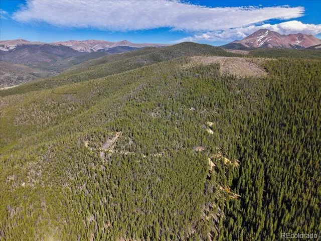 000 Summit Gulch Road Breckenridge, CO 80424