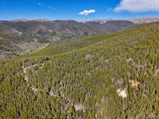 000 Summit Gulch Road Breckenridge, CO 80424