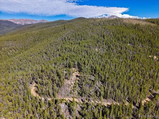000 Summit Gulch Road Breckenridge, CO 80424