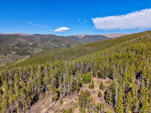 000 Summit Gulch Road Breckenridge, CO 80424