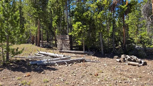 000 Summit Gulch Road Breckenridge, CO 80424