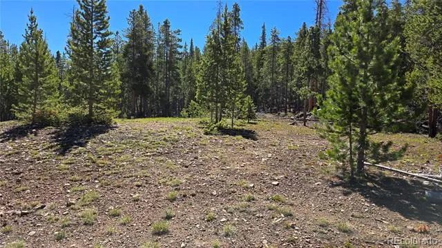 000 Summit Gulch Road Breckenridge, CO 80424
