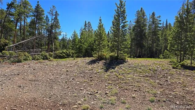 000 Summit Gulch Road Breckenridge, CO 80424