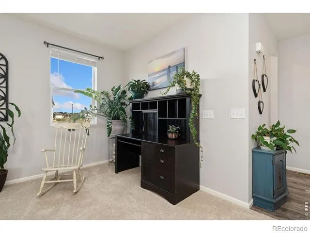339 Central Avenue Severance, CO 80550