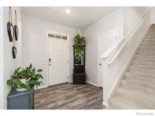 339 Central Avenue Severance, CO 80550