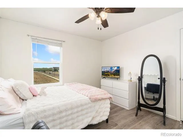 339 Central Avenue Severance, CO 80550