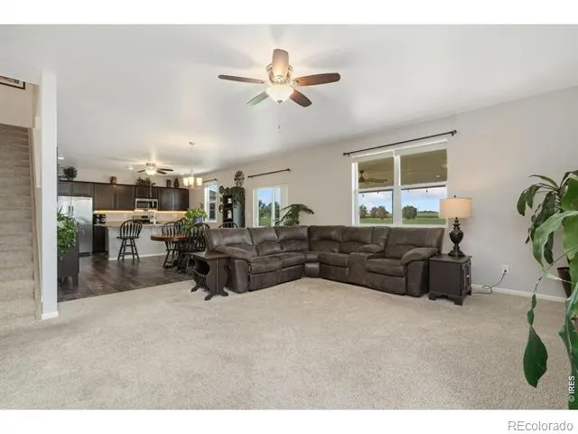 339 Central Avenue Severance, CO 80550