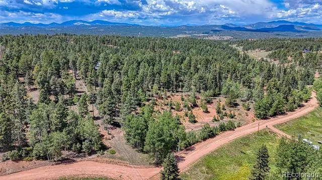 244 Spring Valley Lane Florissant, CO 80816